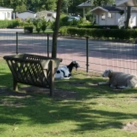 Prázdninový dům Holiday Droompark Molengroet.4 *